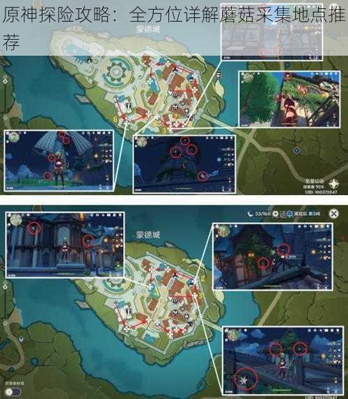 原神探险攻略:全方位详解蘑菇采集地点推荐