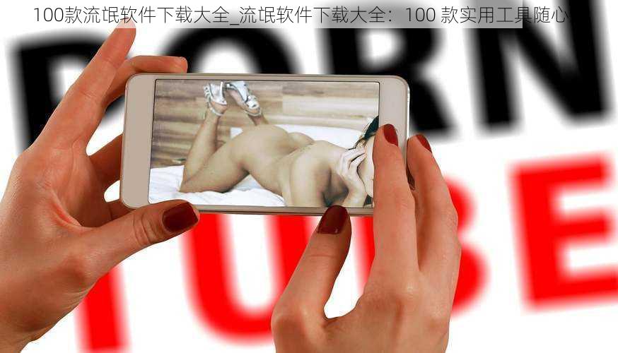 100款流氓软件下载大全_流氓软件下载大全:100 款实用工具随心选