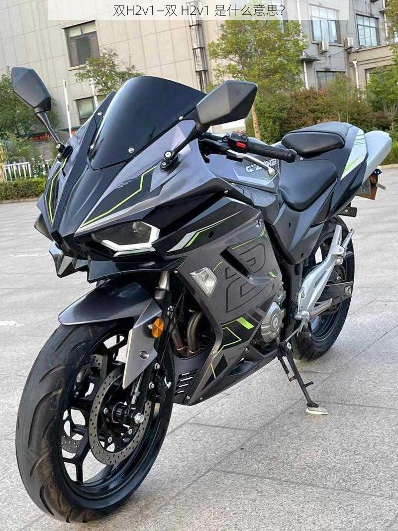 双H2v1—双 H2v1 是什么意思?