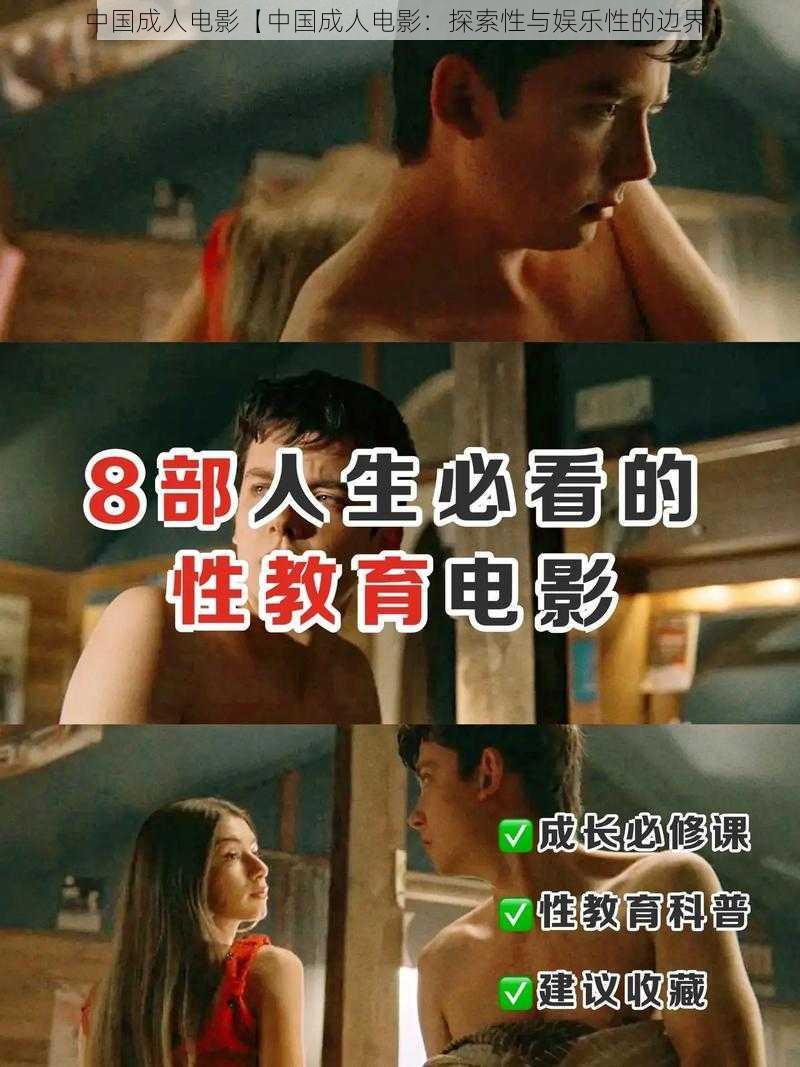 中国成人电影【中国成人电影:探索性与娱乐性的边界】